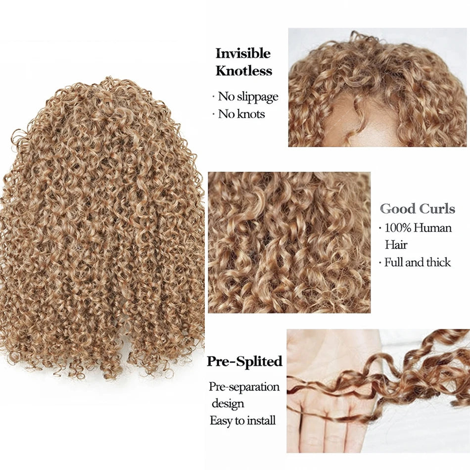 Honey Blonde Reusable Small Spirals Curly Crochet Hair Knotless Pre-Separated Kinky Curly Feather Crochet Human Hair Extensions